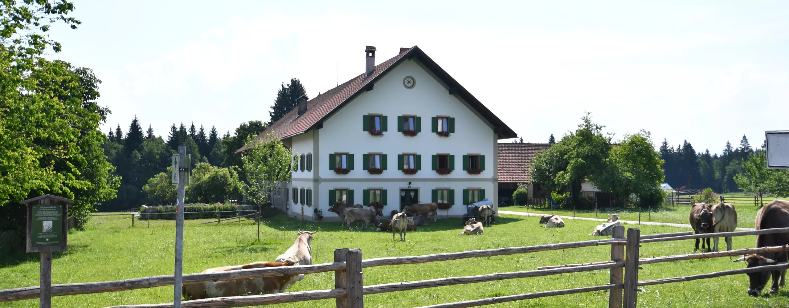 Hygiene oder Hygienekonzept für Landwirtschaft