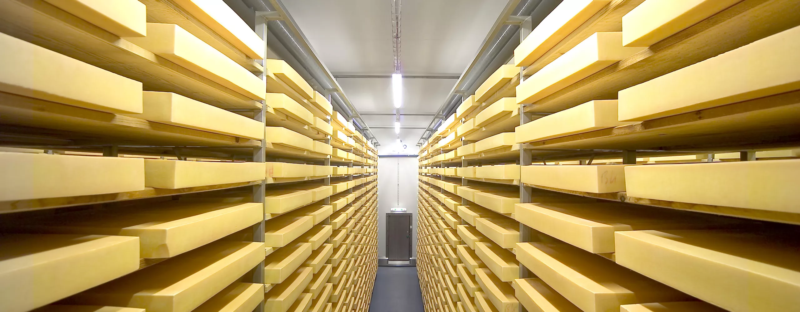 Hydewa Hygiene Systeme in der Käseproduktion und Milchproduktion