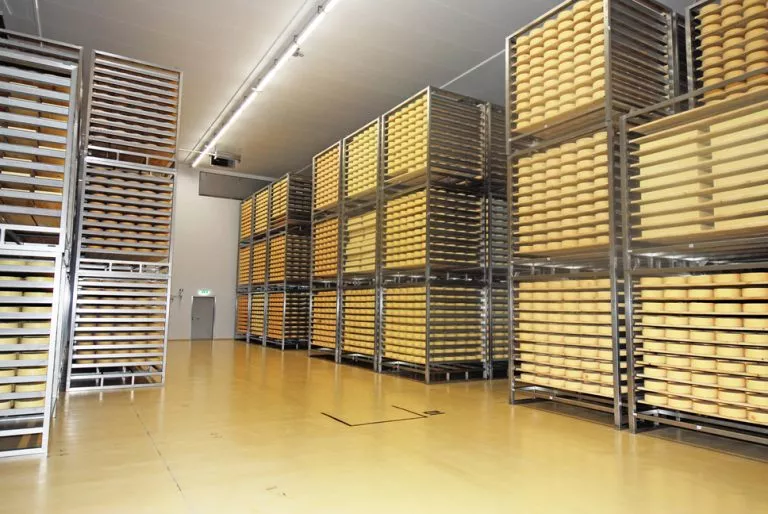 GFK decken systeme und Sandwichplatten für Obersteirische Molkerei (OM)