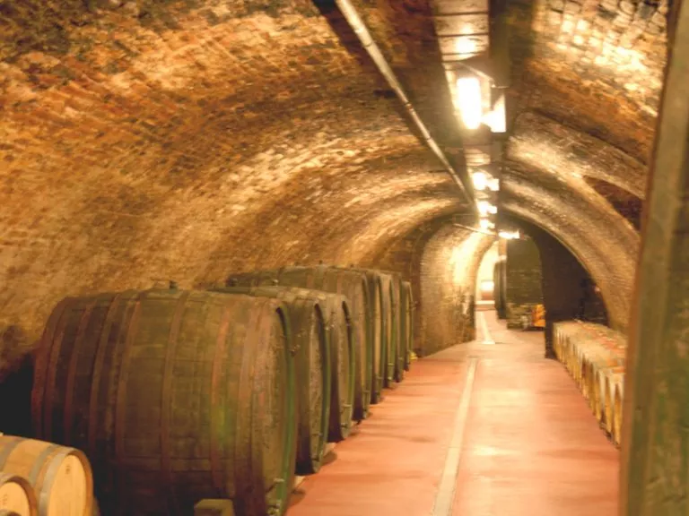 Hygienische Wände und Decken für Weinkeller